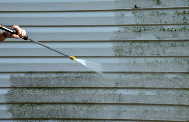 Boat and Dock Cleaning in Martha Lake, WA