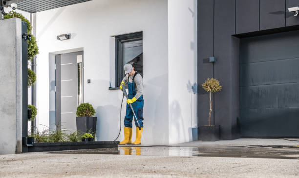Best Soft Washing  in Martha Lake, WA